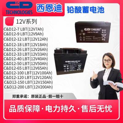 西恩迪大力神蓄电池LBTY12V7AH9A12A18A50A100A150A200A机房基站