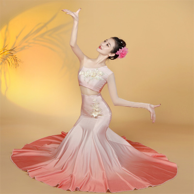 傣族舞蹈服装独舞艺考女成人云南西双版纳旅拍孔雀舞鱼尾裙服装