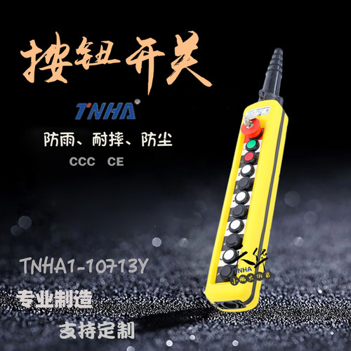 TNHA1 X10713Y 带钥匙开关 带锁开关 单速开关