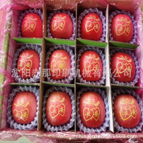 水果苹果圣诞果印字机定制厂家 自动高速度印图 食用墨印板图库