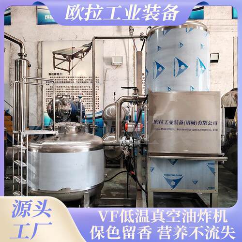 VF真空油炸机 藕片脆大型低温油炸机械 冬枣豆角低温油炸机