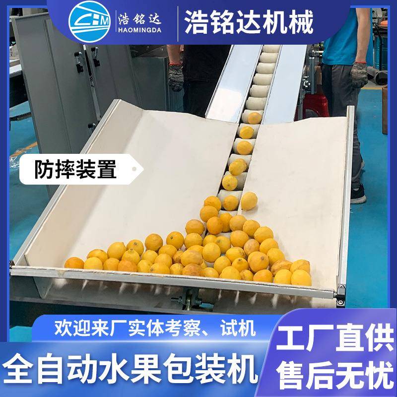 全自动橙子柠檬包装机 小金桔脐橙自动套袋打包机 柑橘水果包装机