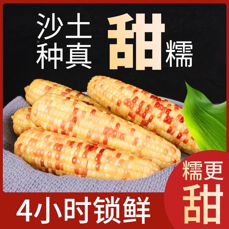 甜糯玉米新鲜花糯玉米棒真空即食粘香糯非基因改造代餐沙地玉旗舰