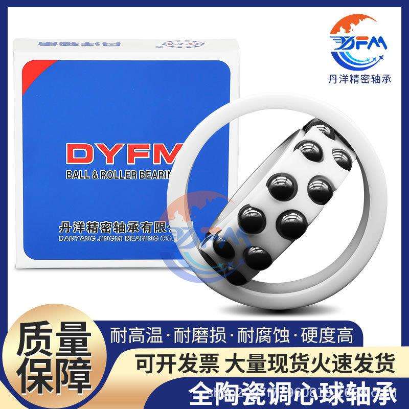 丹洋全陶瓷调心球轴承1200 1201 1202 1203 1204 1205 1206 CE ZZ