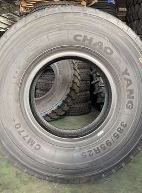 朝阳吊车真空轮胎385/95R25445/95R25起重机配件 轮胎配密封圈