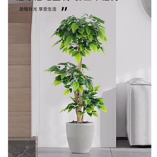 人造假树仿真植物幸福树盆栽室内家居装饰绿植kt落地客厅摆设平安