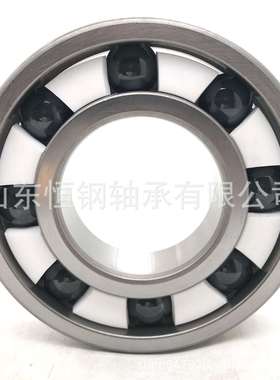 混合陶瓷轴承HC6318 6319 6320耐腐蚀 炉窑 制塑制钢等高温设备用