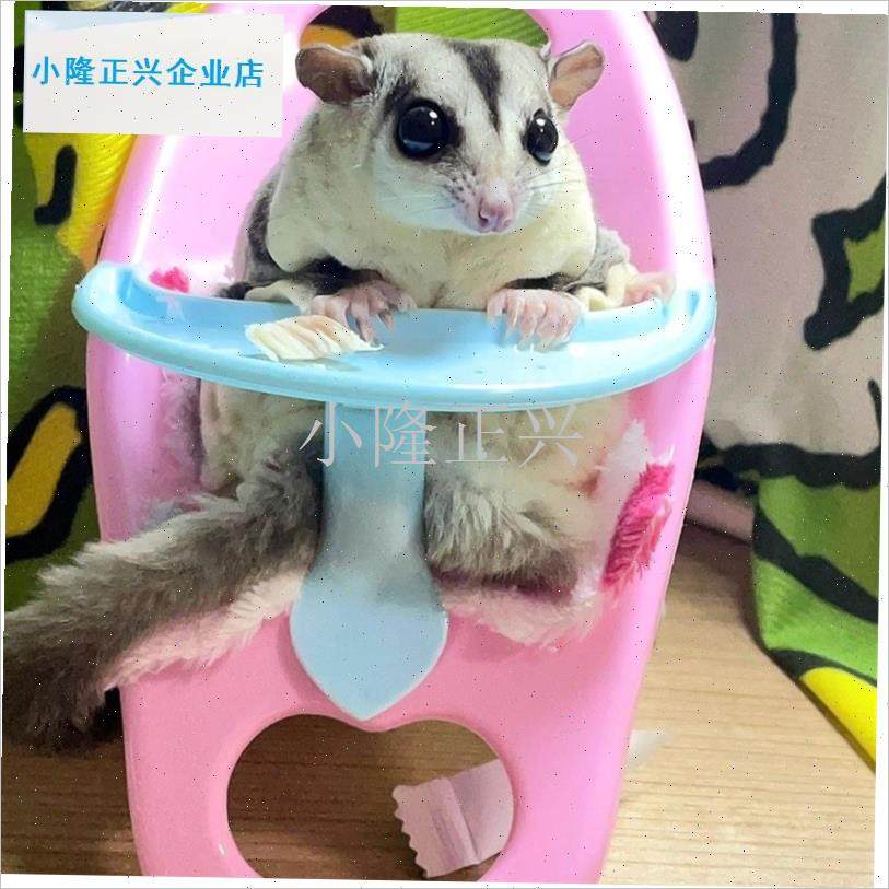 宠物仓鼠b金丝熊侏儒仓鼠玩具餐椅 座椅 手推车学步车蜜袋鼯玩具-,宠物/宠物食品及用品,玩具/造景装饰,淘宝优惠券,粉丝福利购,淘宝优惠卷