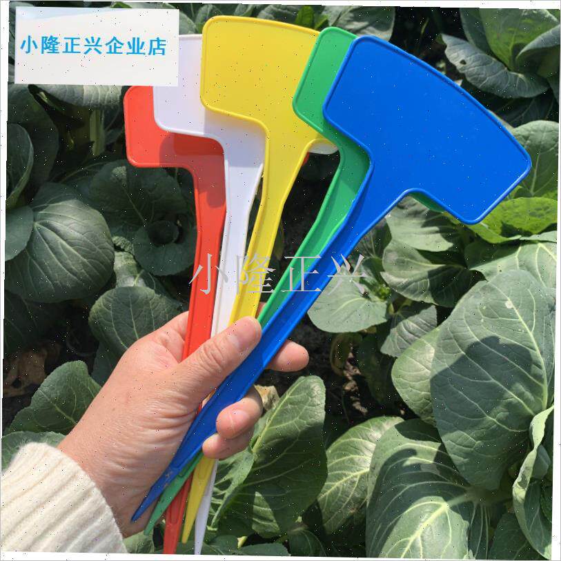 牌面塑料花卉记号牌园艺标签植物标牌L绿植标记牌扇面插地牌-
