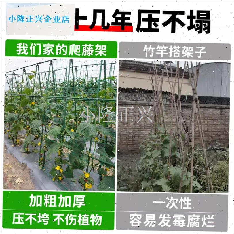 塑钢管爬藤架加厚植物q支撑杆黄瓜豆角西瓜缸豆爬藤杆园艺架新型-