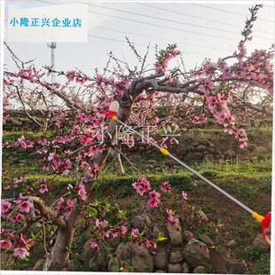 树花粉授粉器干粉喷粉器s苹果梨杏李子猕猴桃树罗汉果点花神器机-