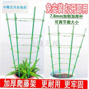 藤架子园艺支柱架阳台绿萝铁线莲花架月季 藤本植物蟹Z爪兰支撑杆