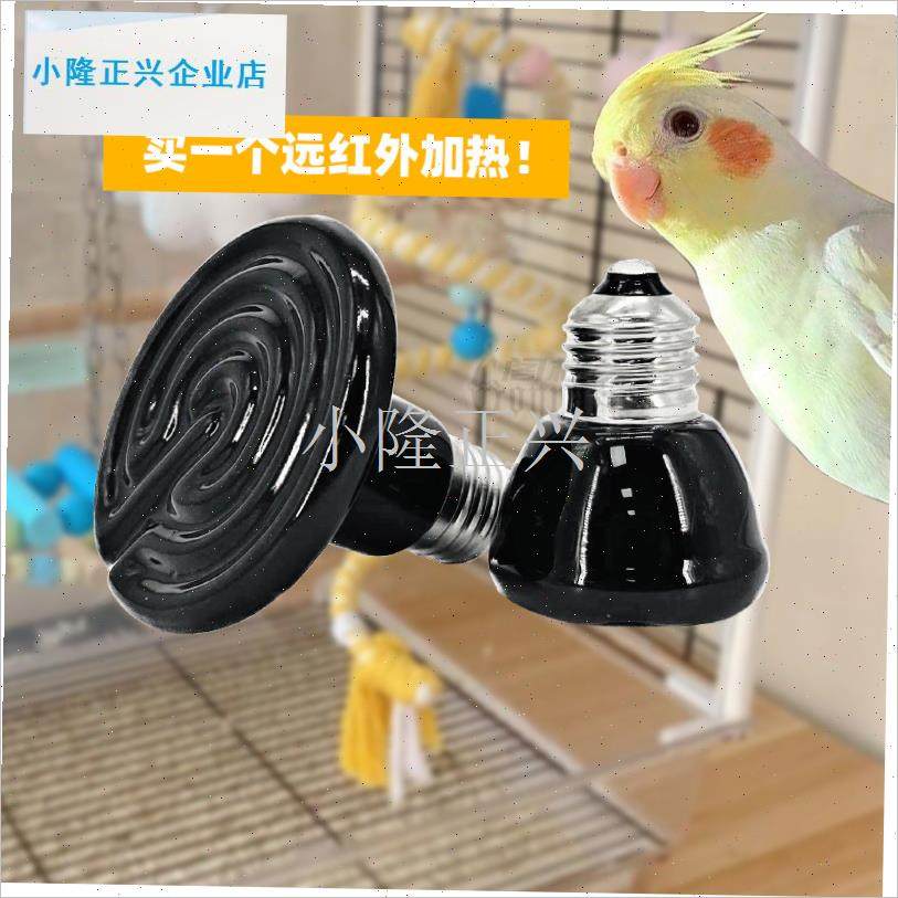 瓷红外加热灯泡鹦鹉爬虫龙猫宠物龟E箱芦丁鸡保温灯蜜袋鼯取暖灯-,宠物/宠物食品及用品,鸟禽其他,淘宝优惠券,粉丝福利购,淘宝优惠卷