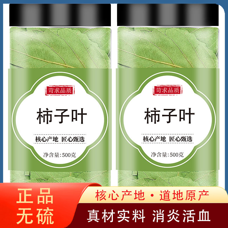 柿子叶茶中药材的功效霜降后霜打干柿子叶河南野生新鲜柿子树叶子