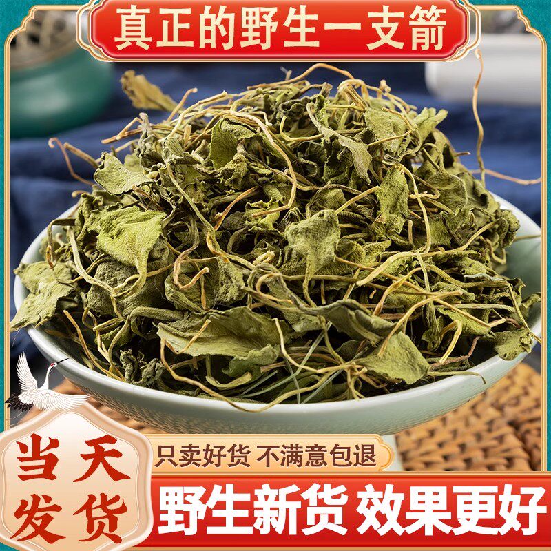 云南野生一枝箭中药材草药一支箭正品新鲜货青藤蛇咬子100/250克