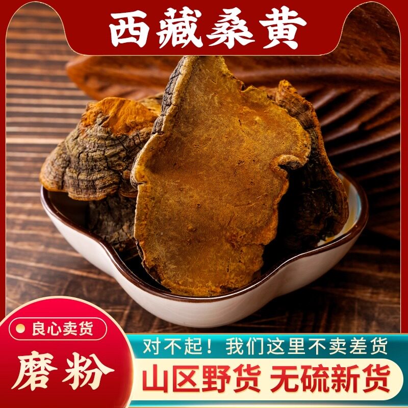桑黄中药材500g西藏野生正宗干货煲汤特级桑树桑黄孔粉菌灵芝泡水