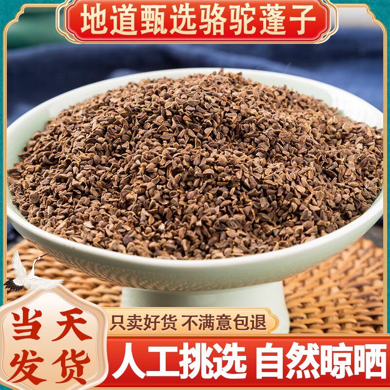中药材骆驼蓬子 骆驼蓬籽 骆驼蓬 500g克包邮 新疆骆驼篷子