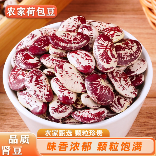 新货云南农家大荷包豆 皇帝豆肾豆非花非斑马豆 五谷杂粮500G包邮