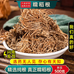 糯稻根中药材500克/250g 糯米根干净新货纯根儒谷根须水洗糯稻根