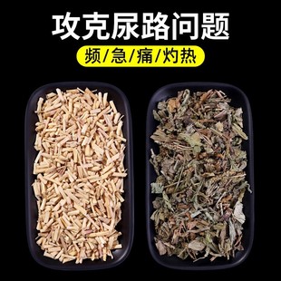 白茅根车前草茶包煮水中药材旗舰店新鲜干货钱茅根草袋泡茶的功效