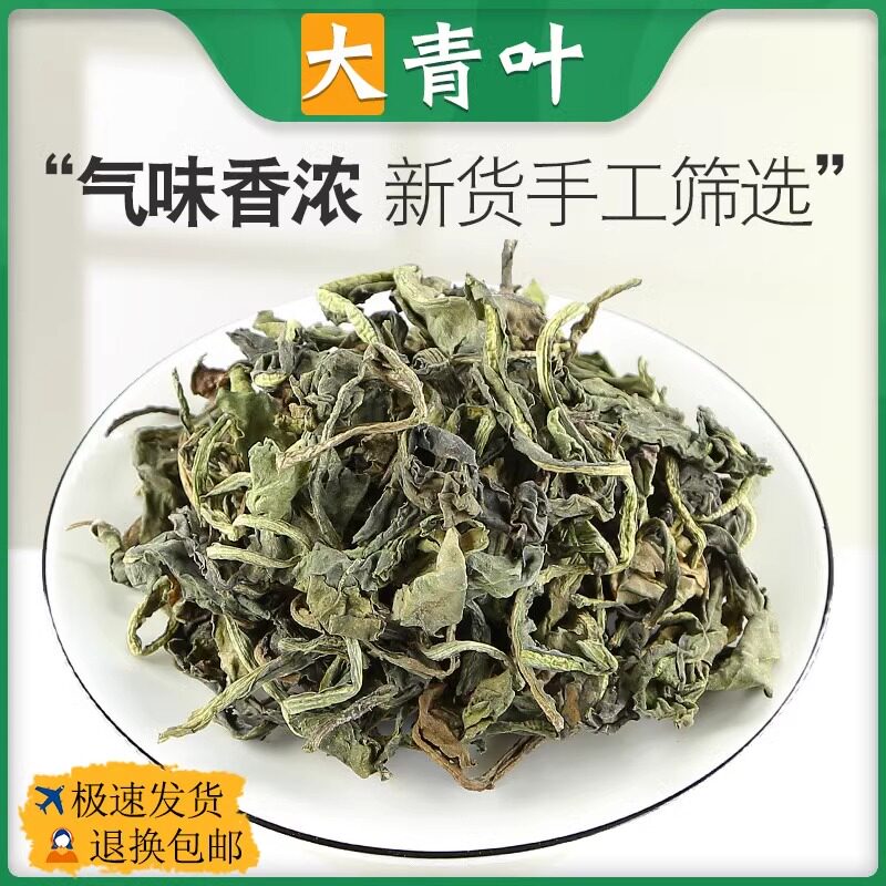 大青叶中药材500g 大青叶茶 可磨大青叶粉精选新鲜正品板蓝根叶子