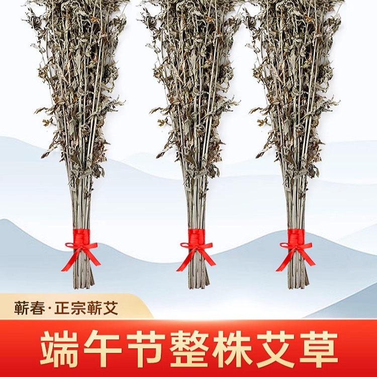 艾草挂门端午干艾叶整棵蕲艾叶上艾蒿驱蚊整把长棵全株家用节驱蚊