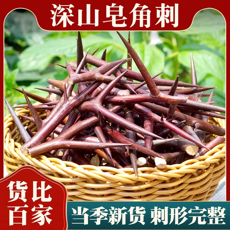 深山老树野生皂角刺中药材正品500g皂荚刺天丁红大刺天然新货无硫