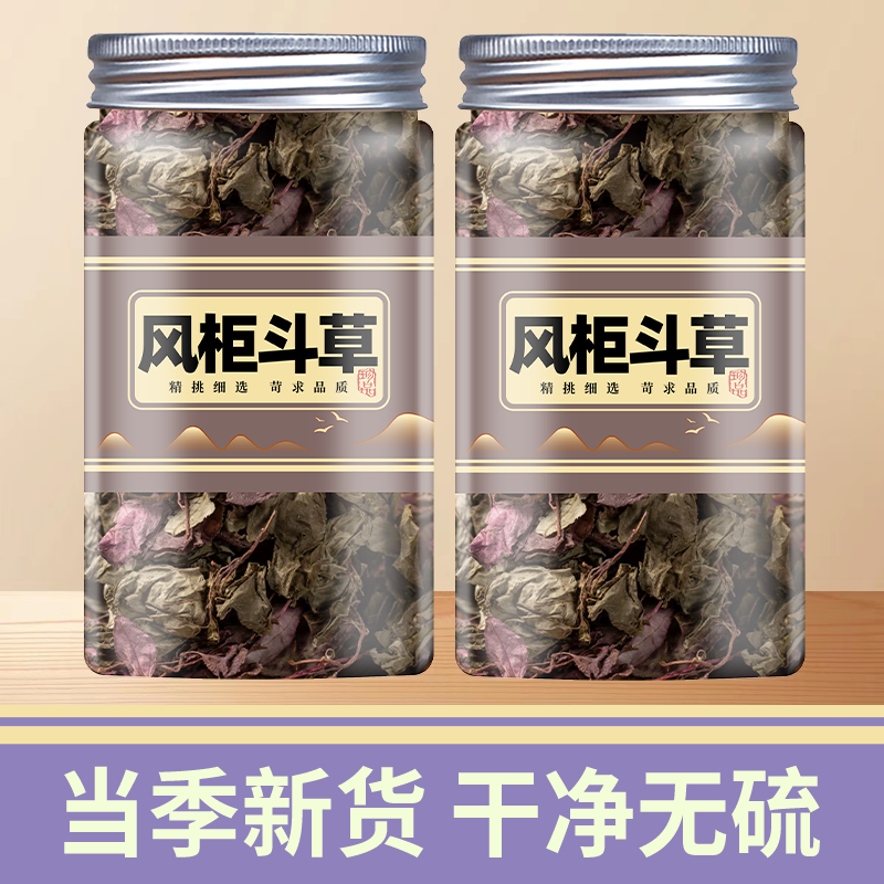 正宗野生风柜斗草干品楮头红小叶福建特级风鼓草风谷草红杆风骨草