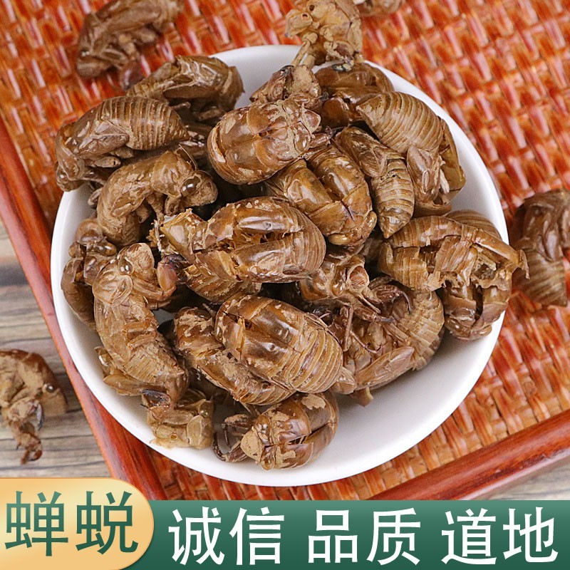 中药材蝉蜕 100g蝉脱 金蝉衣金蝉壳蝉皮蝉壳蝉衣知了皮 知了壳粉