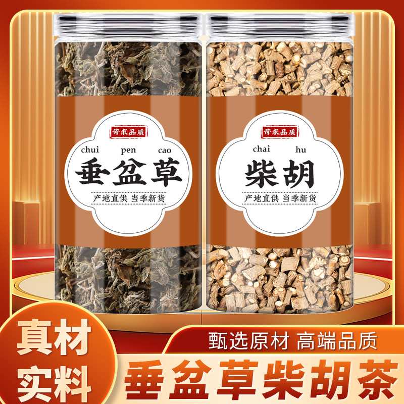 垂盆草柴胡正品新鲜垂盆草干锤盆草柴胡茶地熏山菜菇草柴草煮水喝