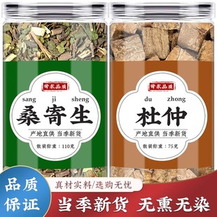 桑寄生杜仲中药材组合茶包桑奇生和杜仲茶加独活泡茶泡水喝腰痛