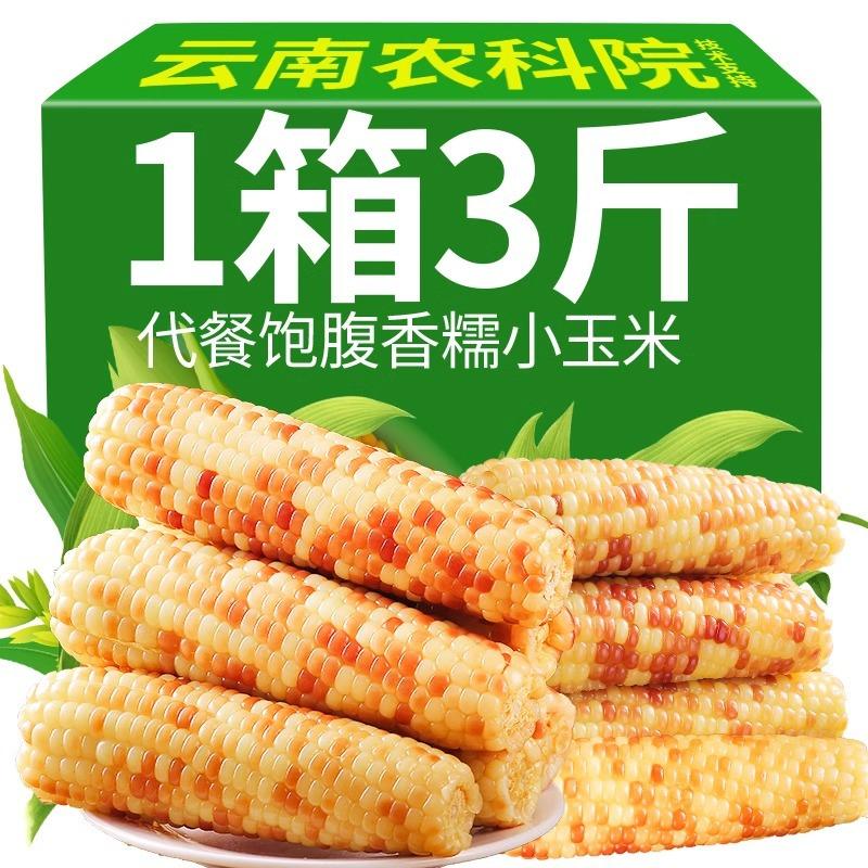 西双版纳香糯小玉米云南特产真空包装即食包谷花粘玉米棒代餐粗粮