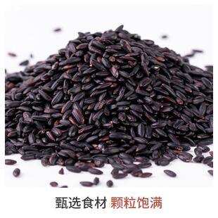 黑米500克东北黑香米黑糙米五谷杂粮直供鹤来香
