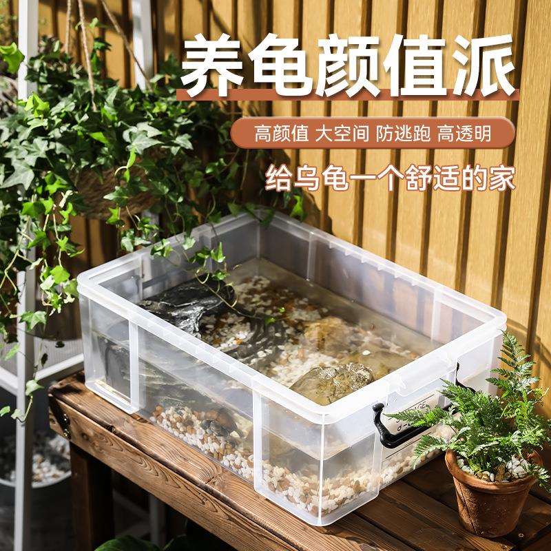 乌龟周转箱家用过滤造景塑料养龟饲养缸透明生态箱生物养殖箱h^J