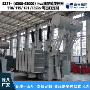 110kv油浸式 青電變壓器廠 主變壓器 63000KVA 25000 SZ20 6300
