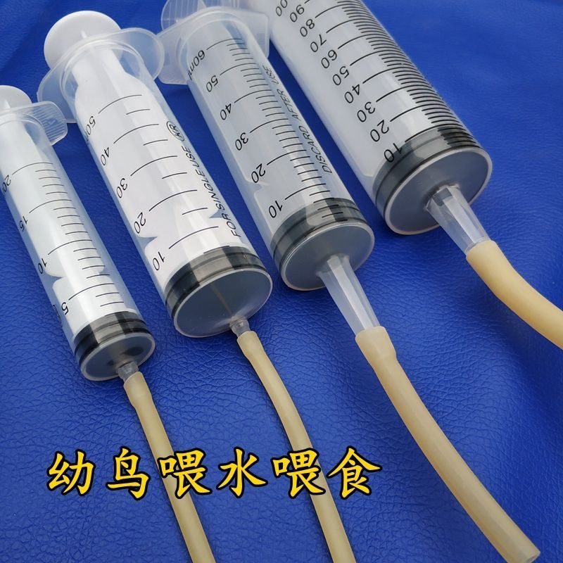 幼鸽喂食器人工灌喂器手养鹦鹉鸽鸟幼鸟喂食器推喂水器新生鸟喂水