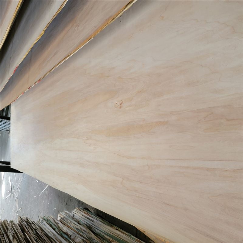 极速6mm8emm10mm原色杨木胶合板,二次成型包装板,多层板现货免熏
