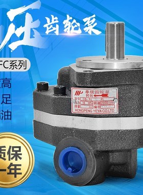 极速液压油泵高压齿轮泵大流量CB-vFC10 16 25 32 40 50-FL堆高机