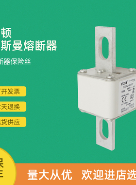 极速全新快速熔断g器保险170M4617 170M4618 170M4619 170M4656