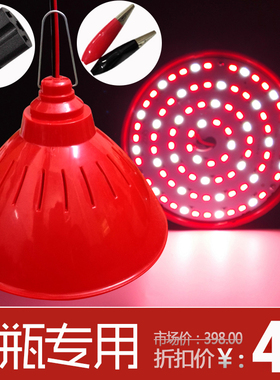 12V LED低压生鲜水果猪肉灯 48v夜市摆地摊灯60V led熟食电瓶灯