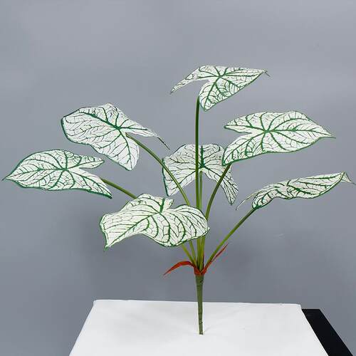 把仿真七头彩芋叶束假-BS10204植台物盆栽绿植墙背景饰装创意客厅
