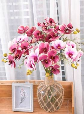 胶CL09002庆又香头片婚蝴蝶兰仿真花厂家家居装饰跨境假花CL05900