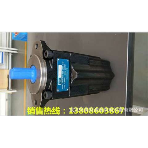 T7DS-B38-2R02-A100R5V08-593-12-A1厂家厂家