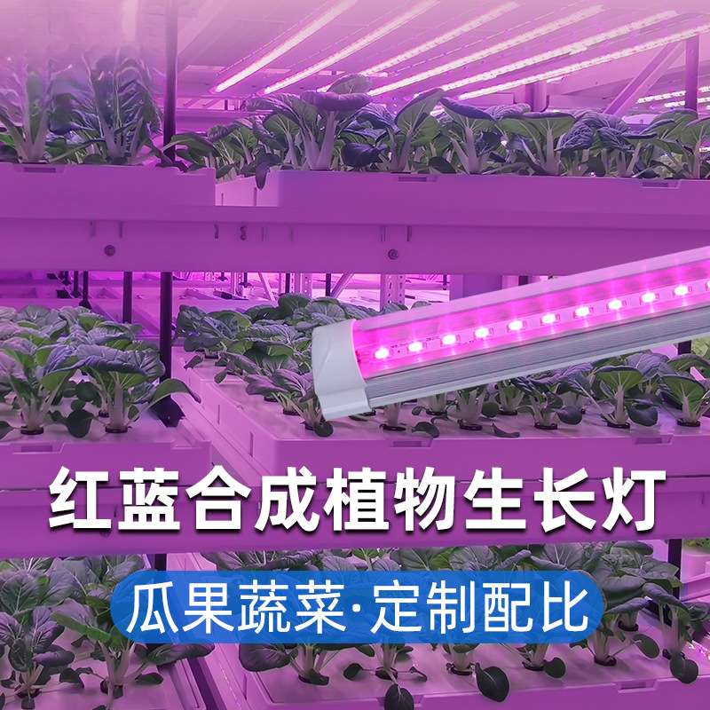 组培灯植物生长补光灯T8全光谱蔬菜绿植育苗led灯红蓝光
