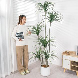 仿真龙血树大型绿植假树植物盆栽室内客厅轻奢装饰落地盆景摆件