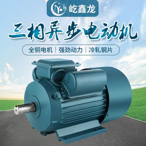 YL112M系列220v相异步电动机国标全铜3W/4W双电容电机效能