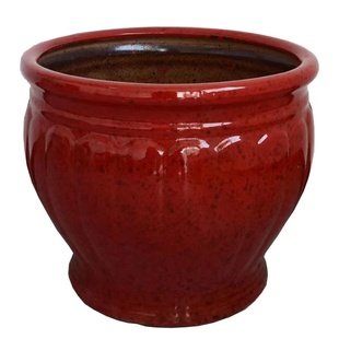 大叶绿萝柱散尾葵夏威夷竹客厅发财树大号特大号超大号陶瓷花盆