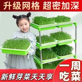 豆芽发芽盆水培蔬菜设备豌豆苗种植架无土栽培托家用芽苗菜育苗盘