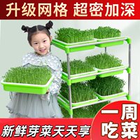 豆芽发芽盆水培蔬菜设备豌豆苗种植架无土栽培托家用芽苗菜育苗盘