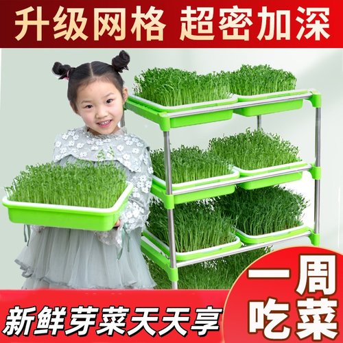 豆芽发芽盆水培蔬菜设备豌豆苗种植架无土栽培托家用芽苗菜育苗盘